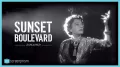 The Noir Movie Sunset Boulevard